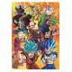 EDUCA - Puzzle 500 Dragon Ball Super 19009
